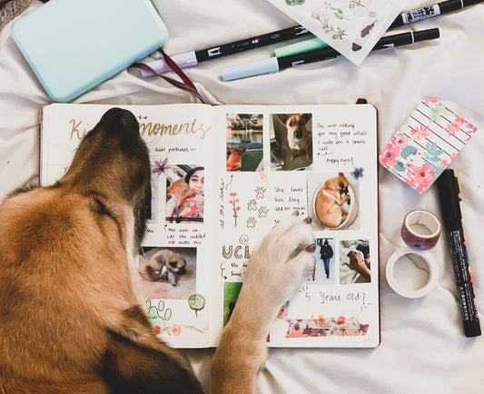 #JournalingPrompts: Document Adventures With Your Furry Ones